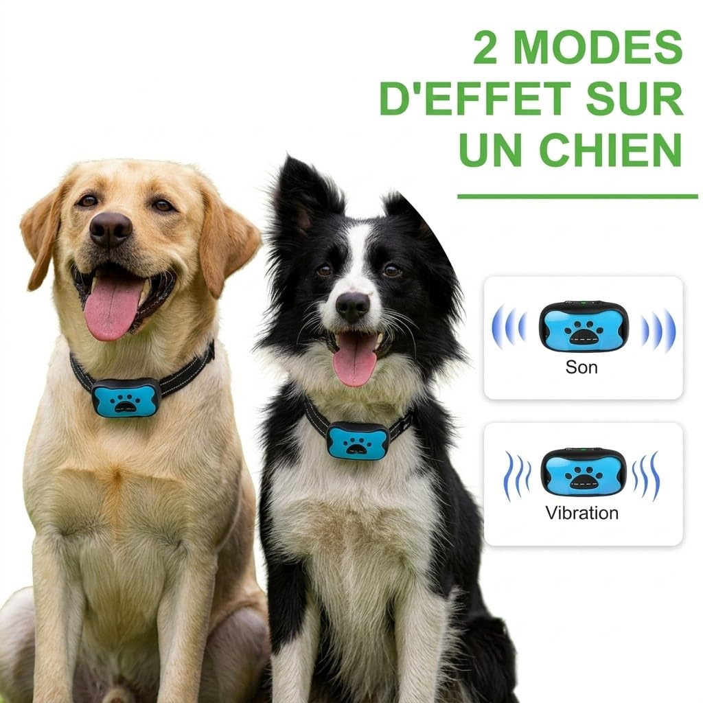Pack de 2 Colliers Anti-Aboiement Chien Automatiques Bleu – Éducation Positive sans Choc Électrique, Vibration & Son, Rechargeable et Étanche IP67