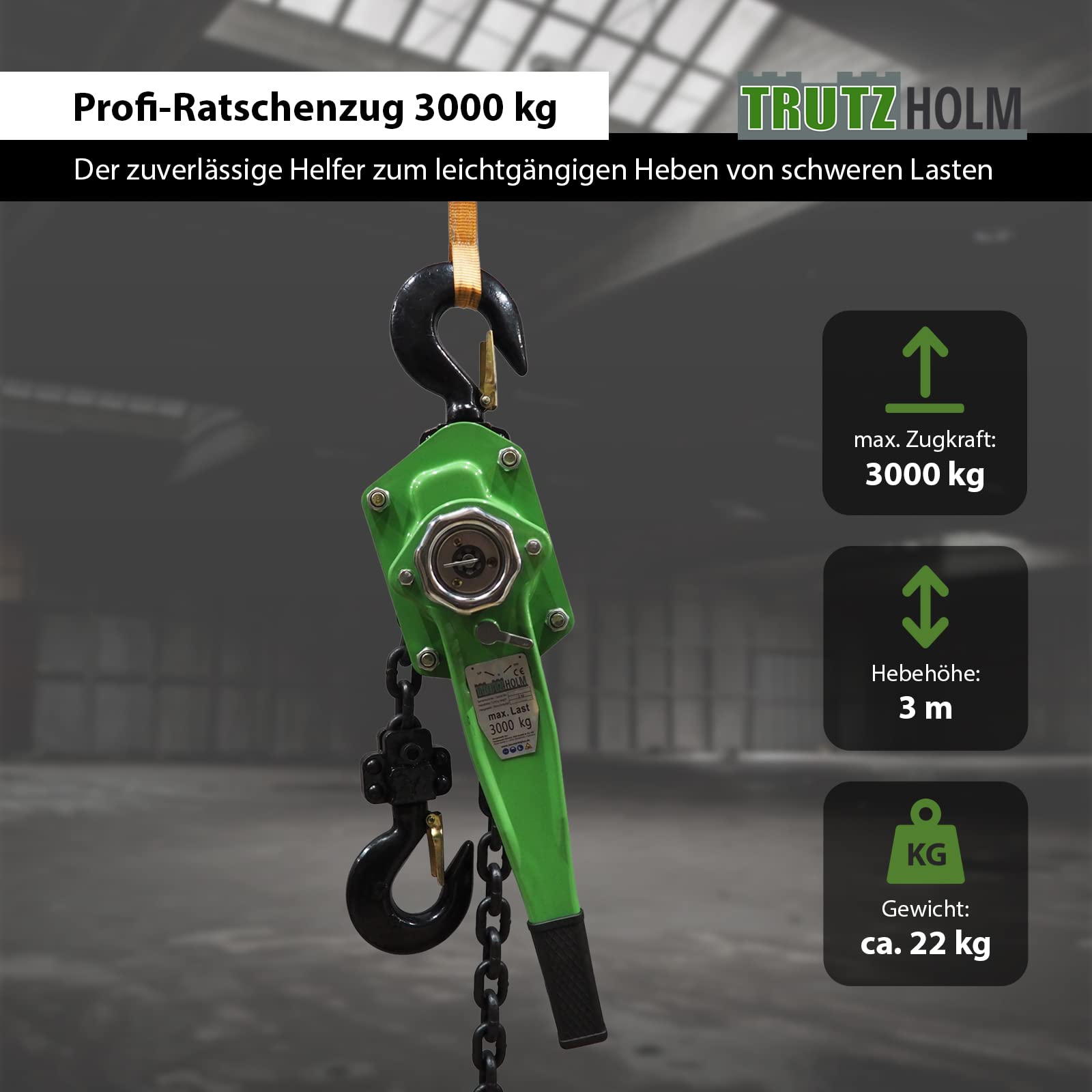 TRUTZHOLM Ratschenzug Ratschenkettenzug 0,75t 1,5t 3t 6t Ratschenzug Kettenzug Hebezug Flaschenzug verschiedene Modelle (3000 kg)