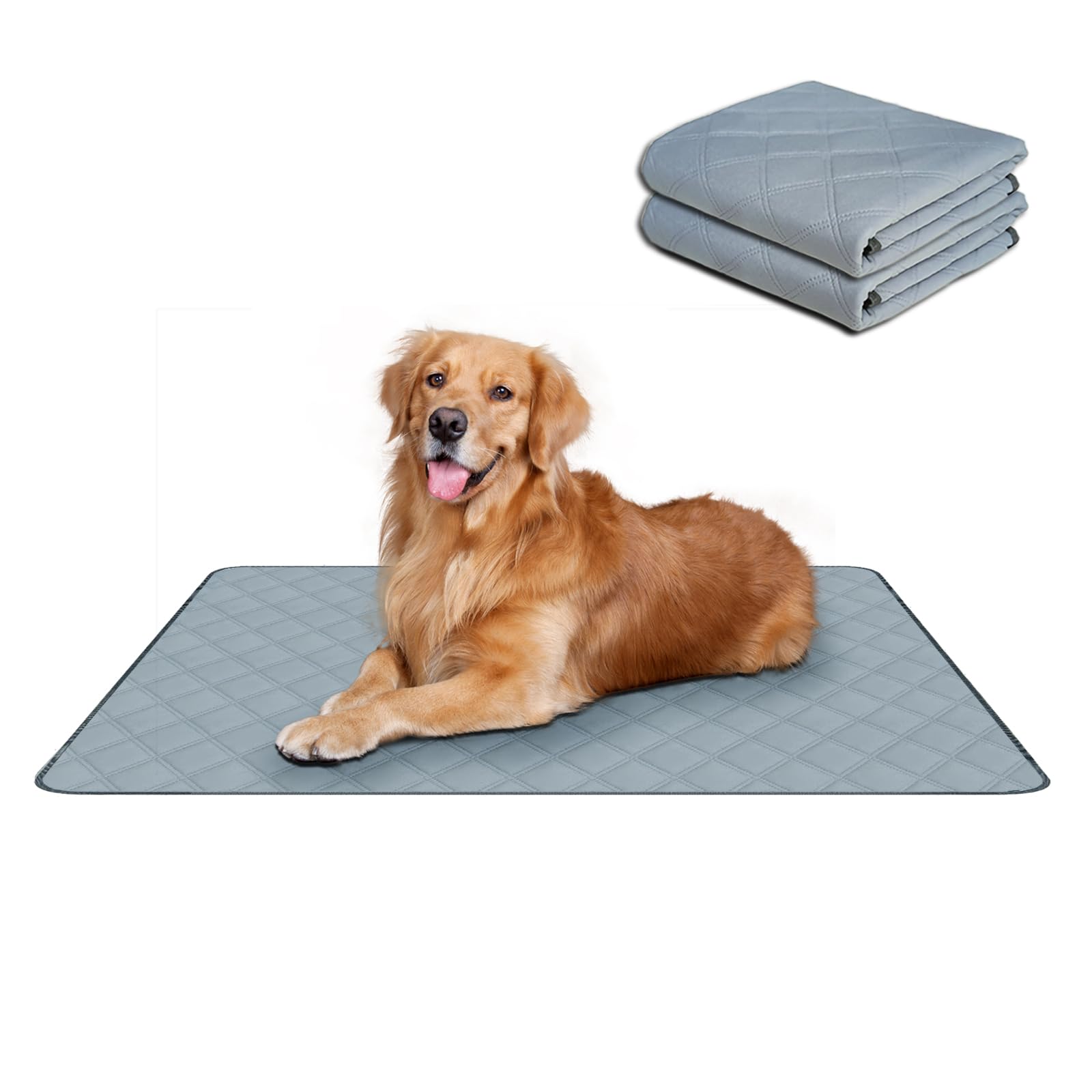 RIOUSSI Washable Pee Pads for Dogs, Reusable, Absorbent, Leakproof, Non Slip Pet Puppy Pads for Potty Training. Light Gray, 24x36 Inch(2pack) (B0CBM81G5P) Amazon Price History, Amazon Price Tracker
