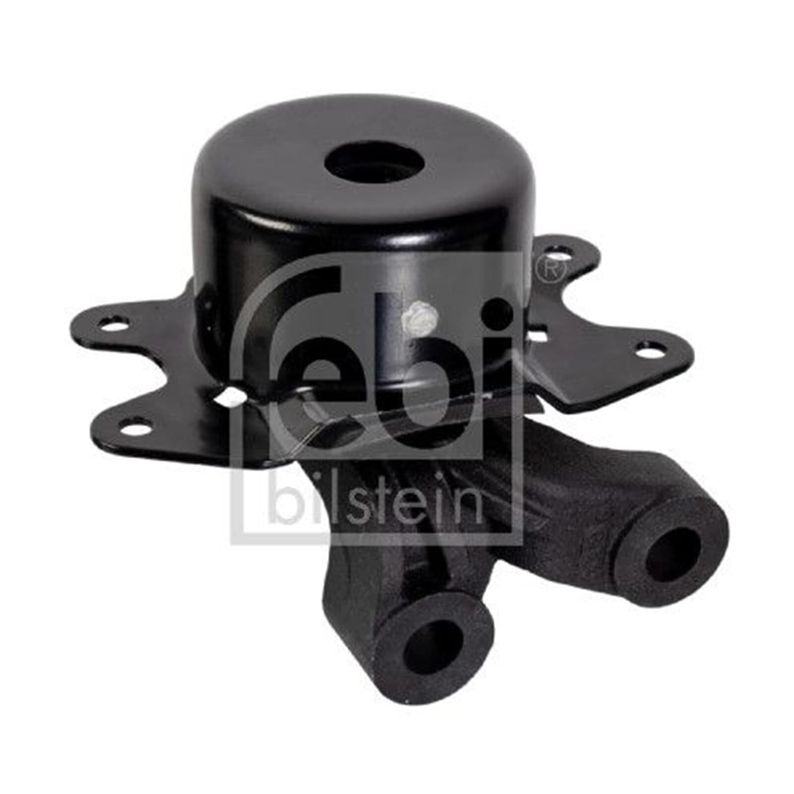 FEBI BILSTEIN Supporto, Cambio 178863