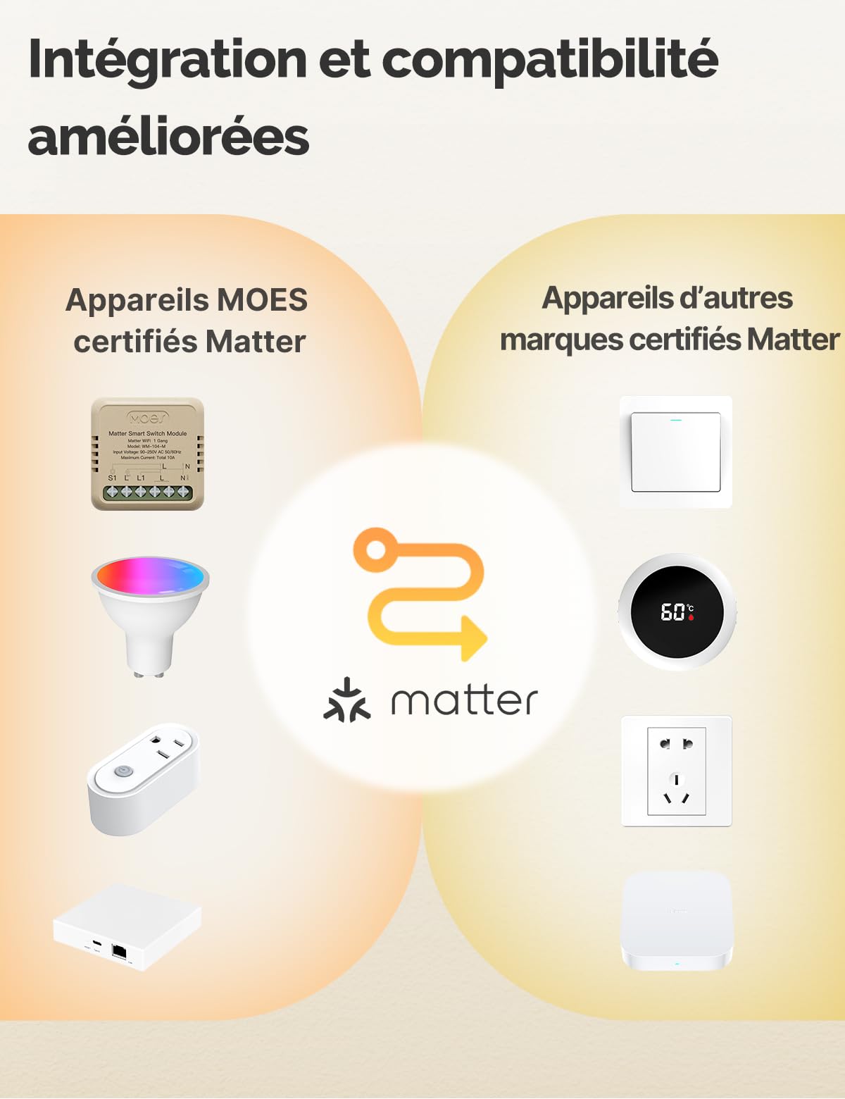 MOES Interrupteur Intelligent Matter WiFi Module DIY | Relais 10A, nécessite fil neutre, programmation allumage/extinction, compatible Alexa/Apple/Google