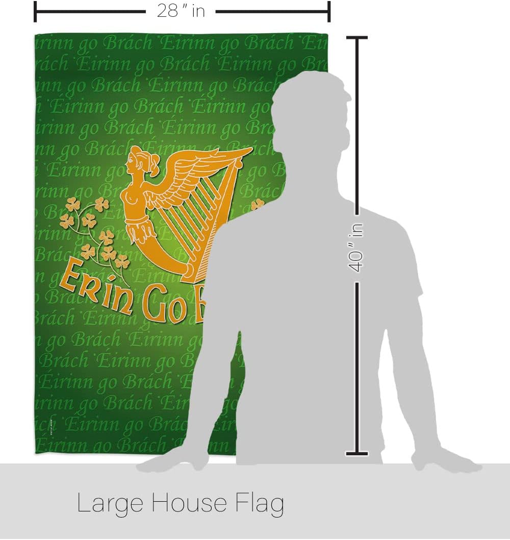 Breeze Decor - Erin Go Bragh Spring - Seasonal Impressions Decorative Vertical House Flag 28" x 40" Printed in USA