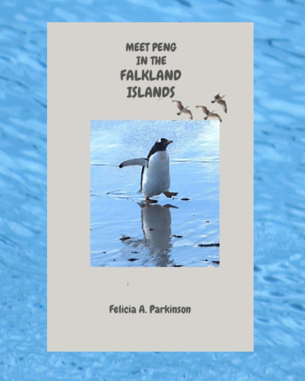 Meet Peng in the Falkland Islands (Peng's Adventures)