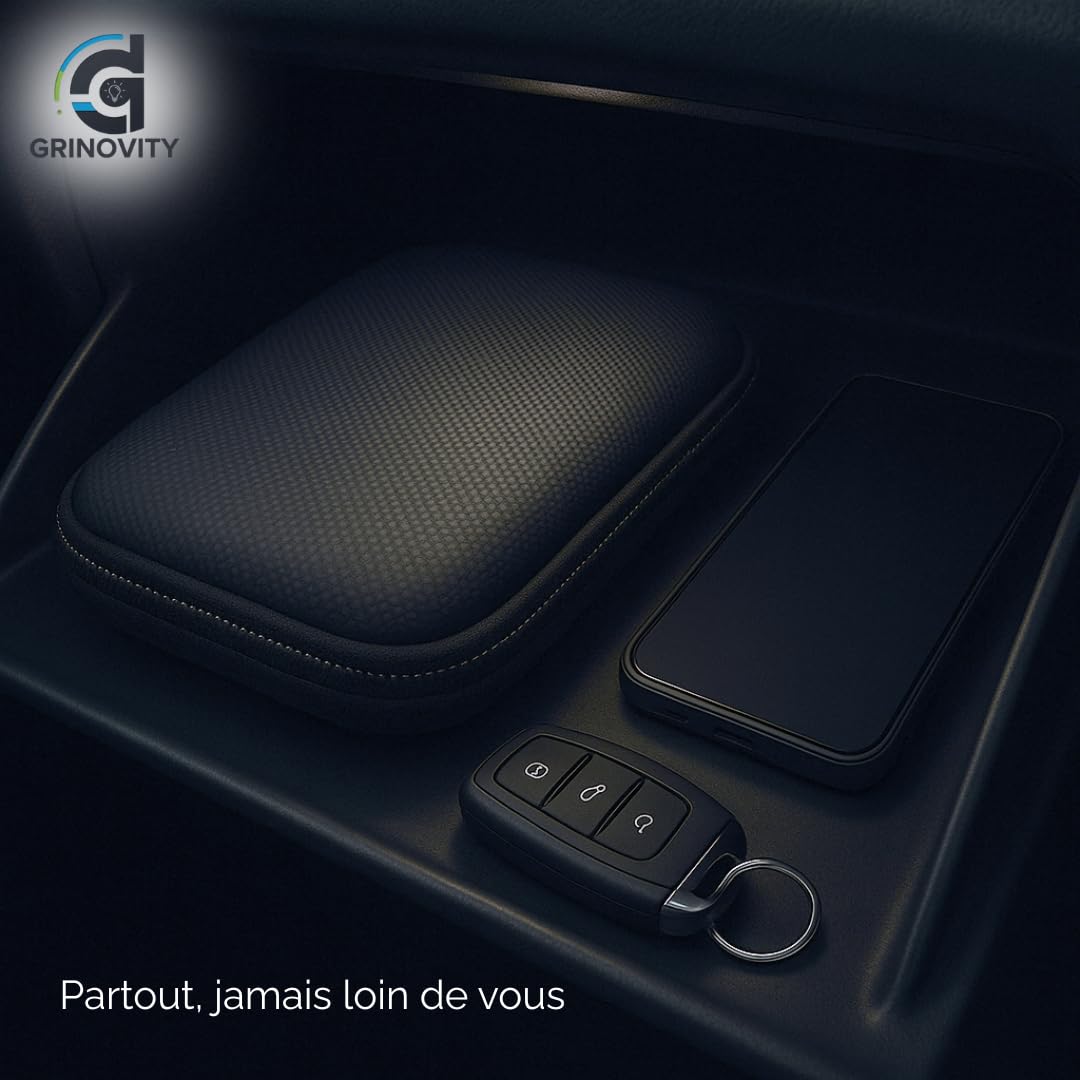 Windx Mini souffleur d'air premium batterie, ultra puissant air duster, étui transport rigide, 10 000mah, usb-c, dépoussiérant pc, voiture, meubles, établi, detailling, cadeau fêtes des pères