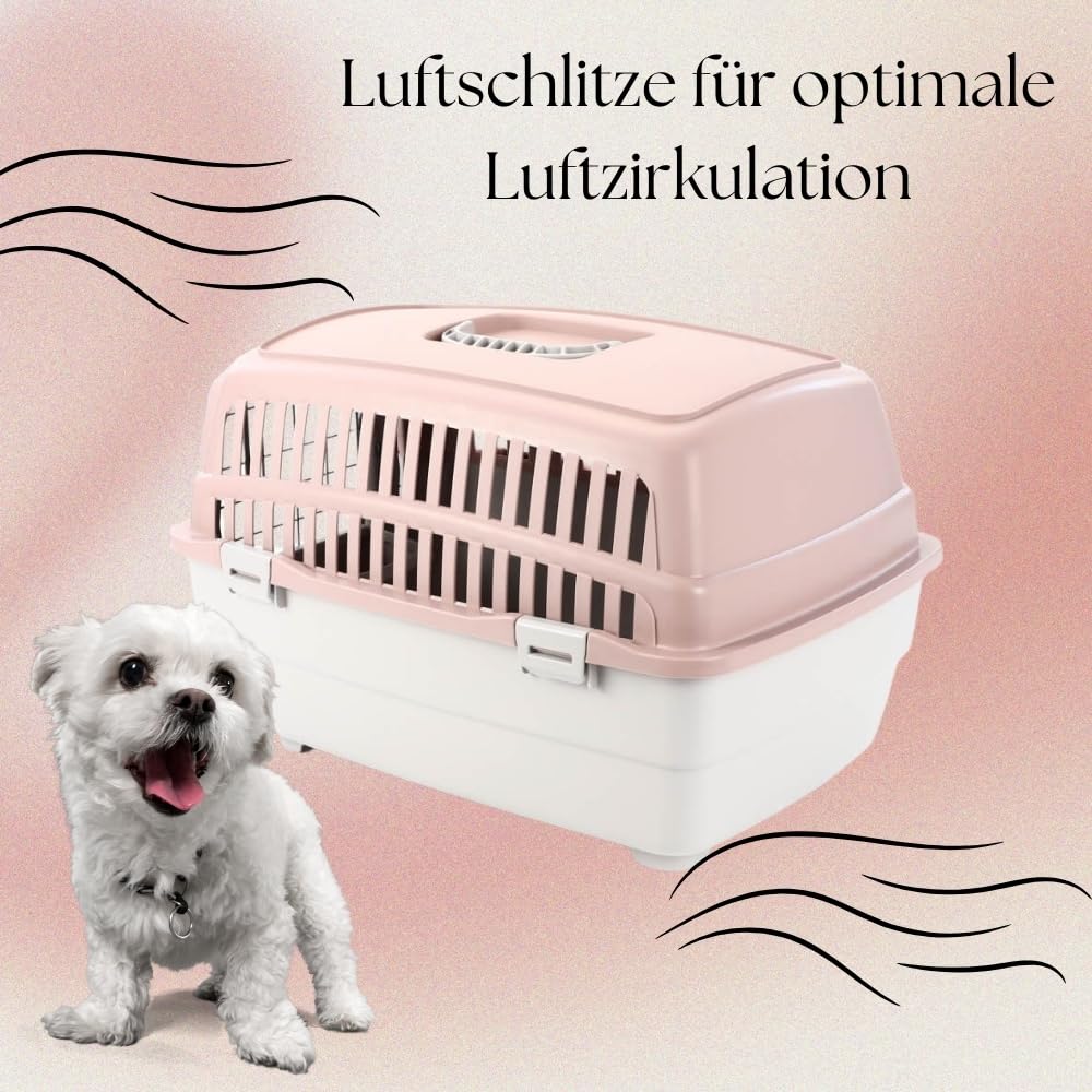 2er Set IATA Flugboxen Für Kleine Hunde & Katzen - Sicher Reisen Mit Haustieren