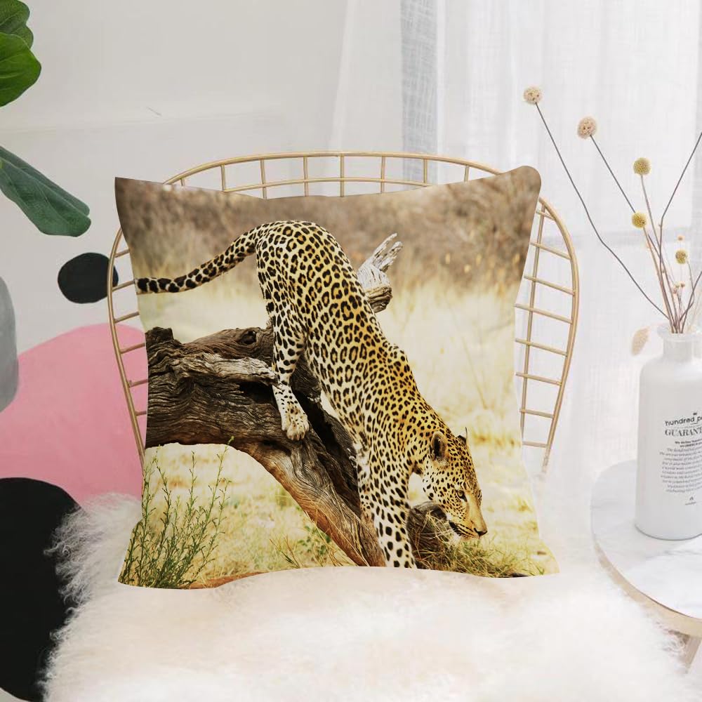 HYOSXW Cushion Cover,Throw Pillow Case Home Decorative for Living Room Bedroom Sofa Chair 16X16 Inch,Cheetah, spotted cheetah climbing on dead wood,Pillowcase 40X40cm