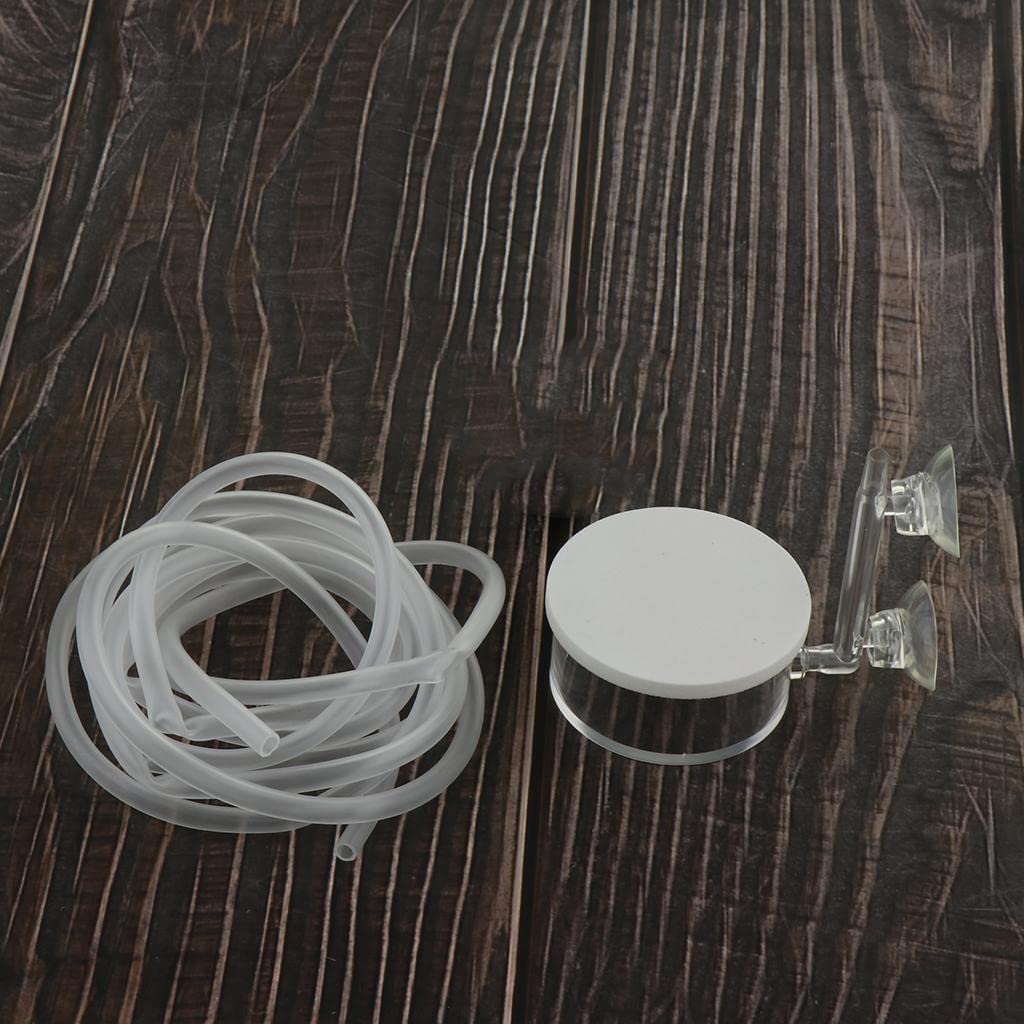 Enakshi Aquarium Fish Tank Glass CO2 Diffuser Carbon Dioxide Reactor 3 Pet Supplies Fish