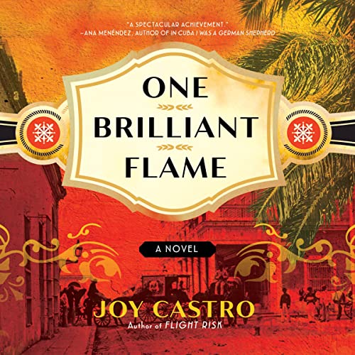 One Brilliant Flame by Joy Castro episode artwork