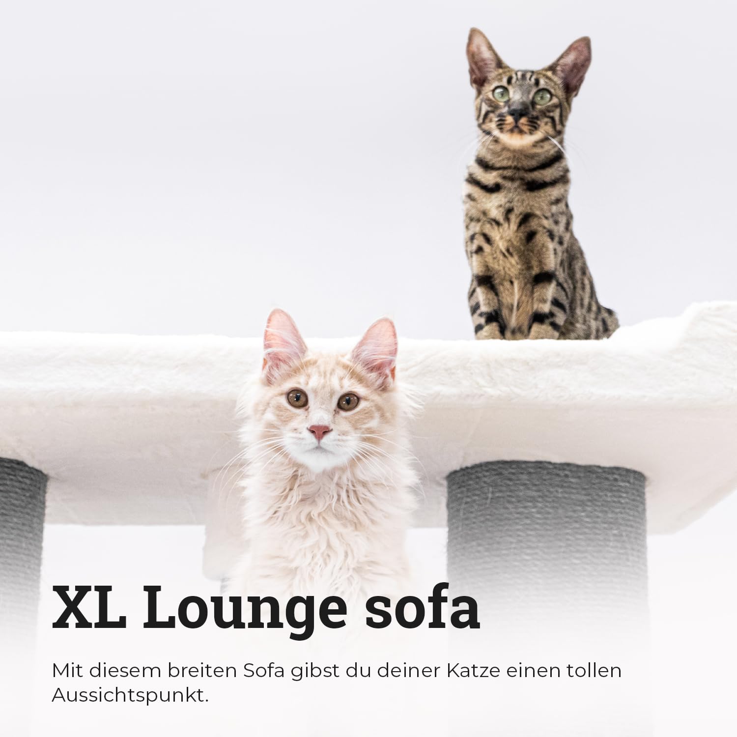 Petrebels Maine Coon drapak XXL, syberyjski, wysokość 200 cm, jakość premium, designerskie meble do drapania dla dużych kotów, kolor biały