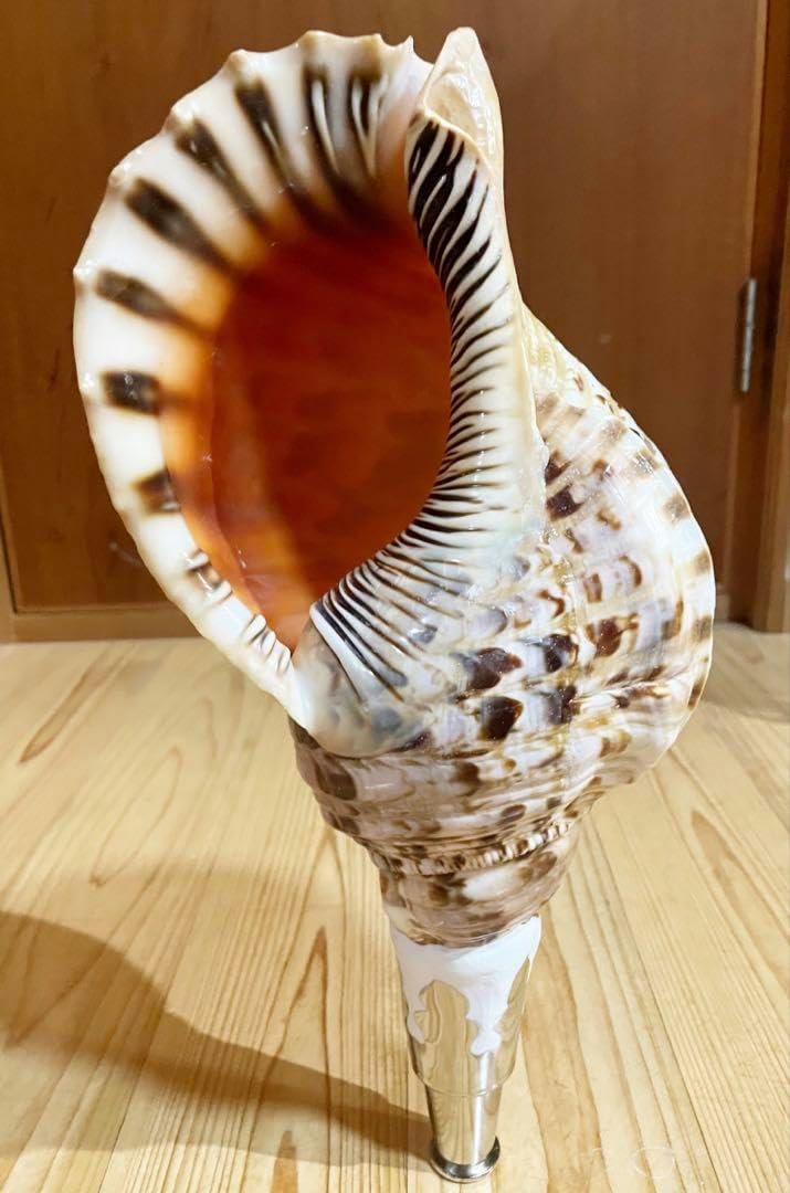 サバイバル・スキルズ 究極の生存技術教本 Amazon.co.jp: サバイバル スキルズ 究極の生存技術教本