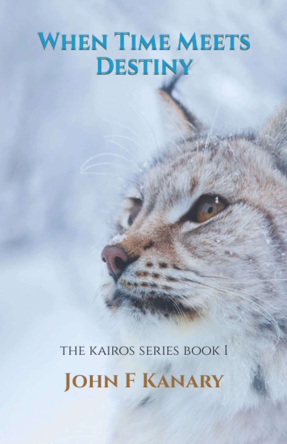 When Time Meets Destiny: The Kairos Series Book I