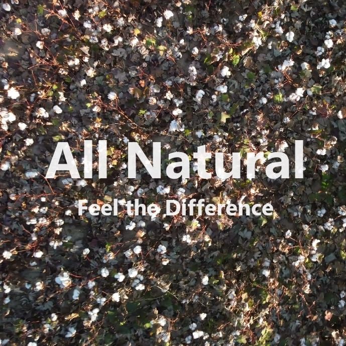 All Cotton Socks (Quarter/Crew, Unisex) Natural Fabric Soft Breathable Organic Cotton Socks2