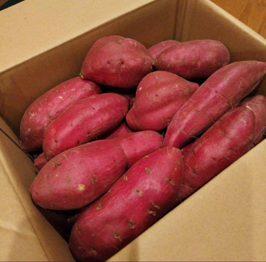 出荷日 シルクスイート3kg