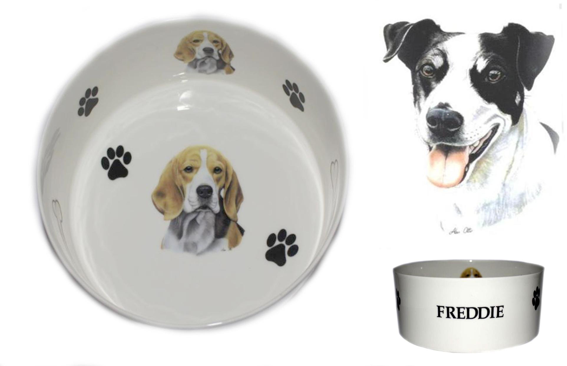 (BB34) Bone China Personalised Black & White Jack Russell Terrier dog food/water pet bowl decorated with PAWPRINTS AND BONES, Personalised with name of your choice- Many dog breeds available. Fun, colourful, new pet bowls.