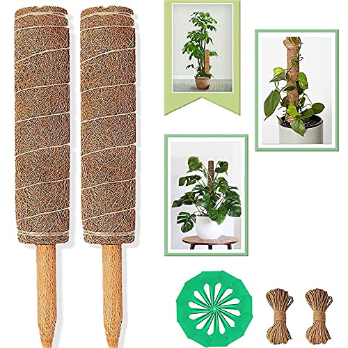 Otun 2 Pcs 16 Inch Moss Poles, Used for Moss Poles for Climbing Plants, with 10 Plant Tags and 2 Plant Stakes of 1M Hemp Rope