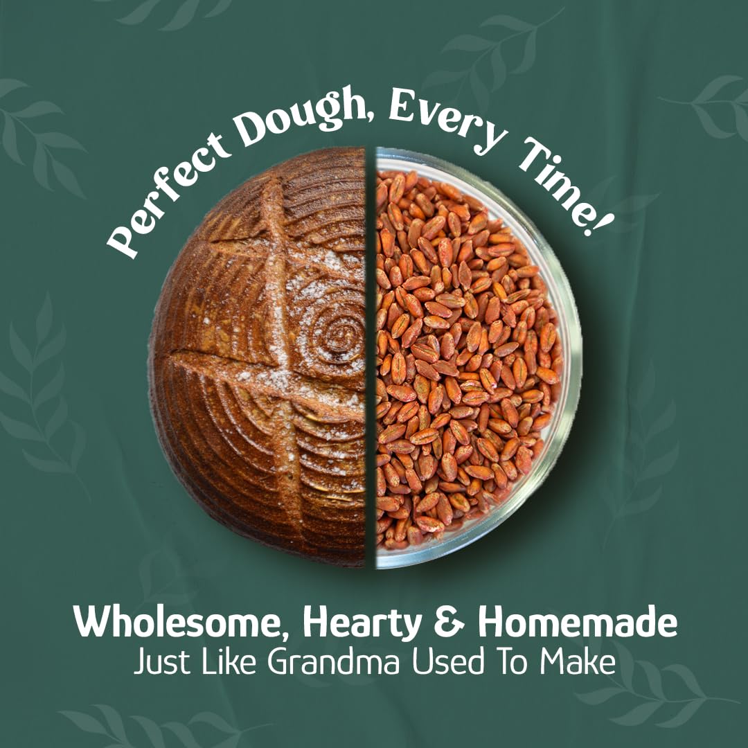 Wheat Montana Bronze Chief Hard Red Wheat Berries, Bulk, 50 lb