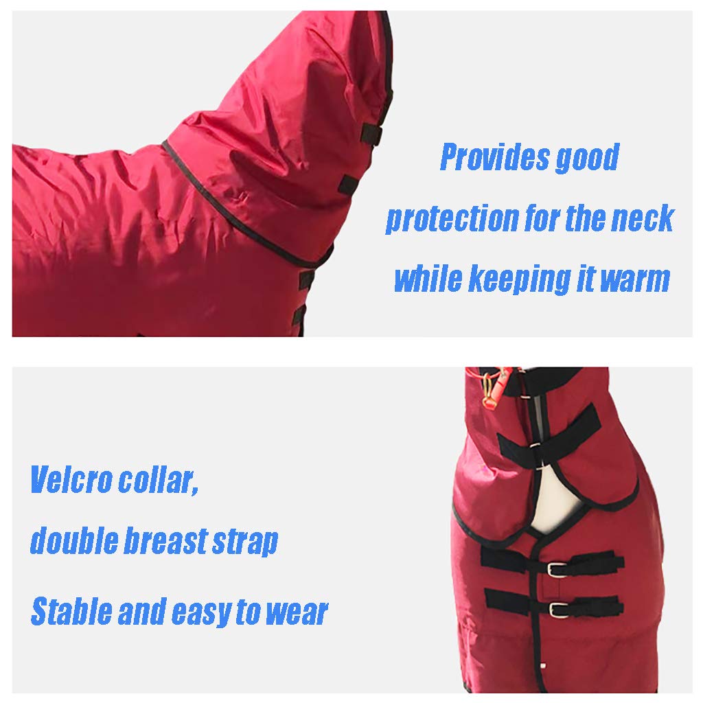 Manta Caballo Cuello ExtraíBle para Mantener el Calor en Invierno,Rojo(Size:115cm)