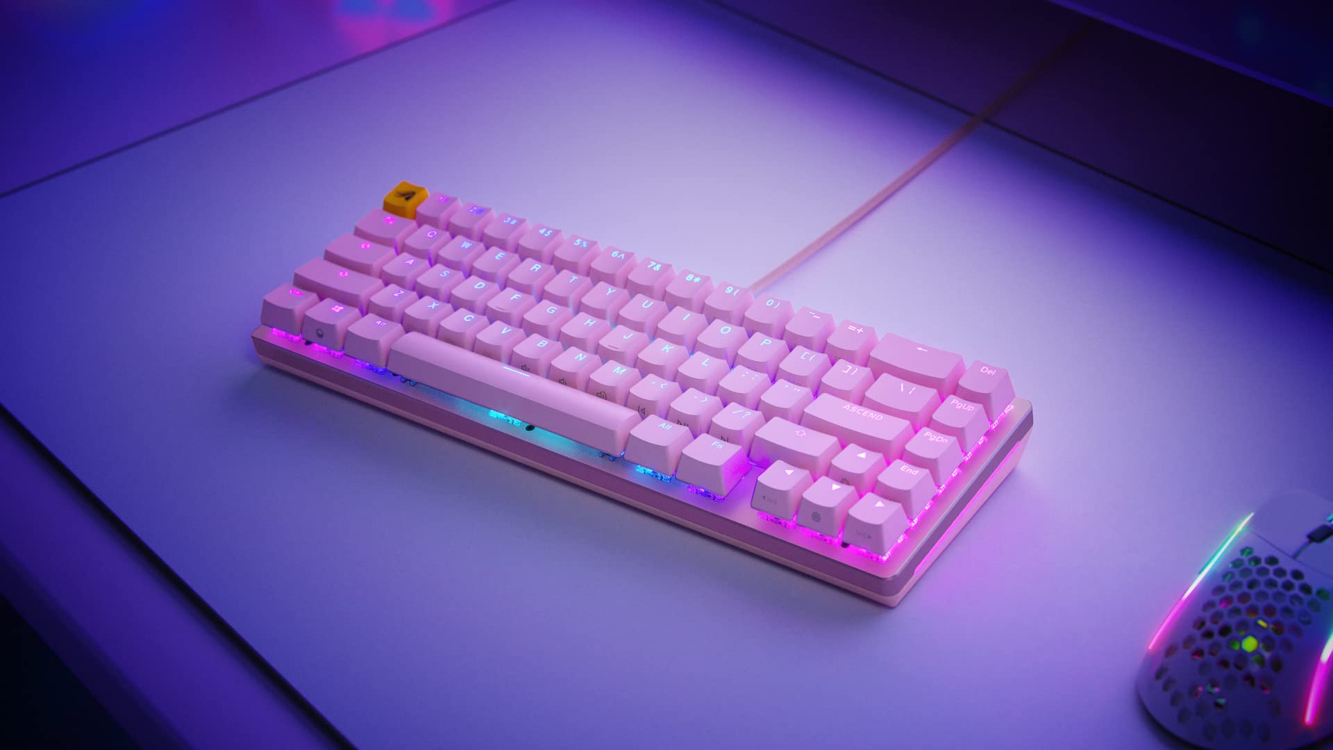 Glorious GMMK 2 - TKL Mechanical Keyboard, Red Switches, Wired, Compact 65% Keyboard - Pink RGB