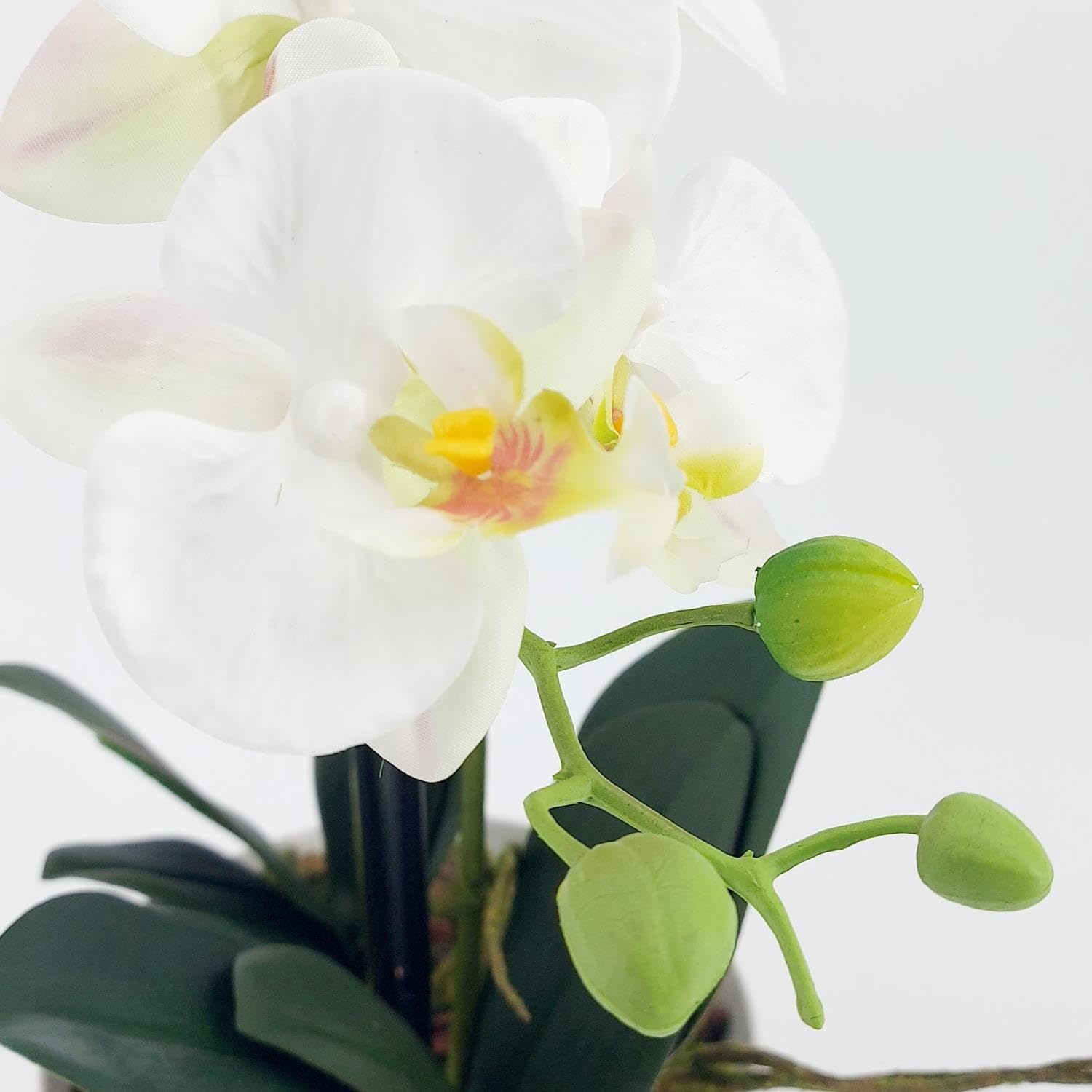 DPI künstliche Orchidee REAL Touch weiß in Keramiktopf H. 48cm Kunstblumen