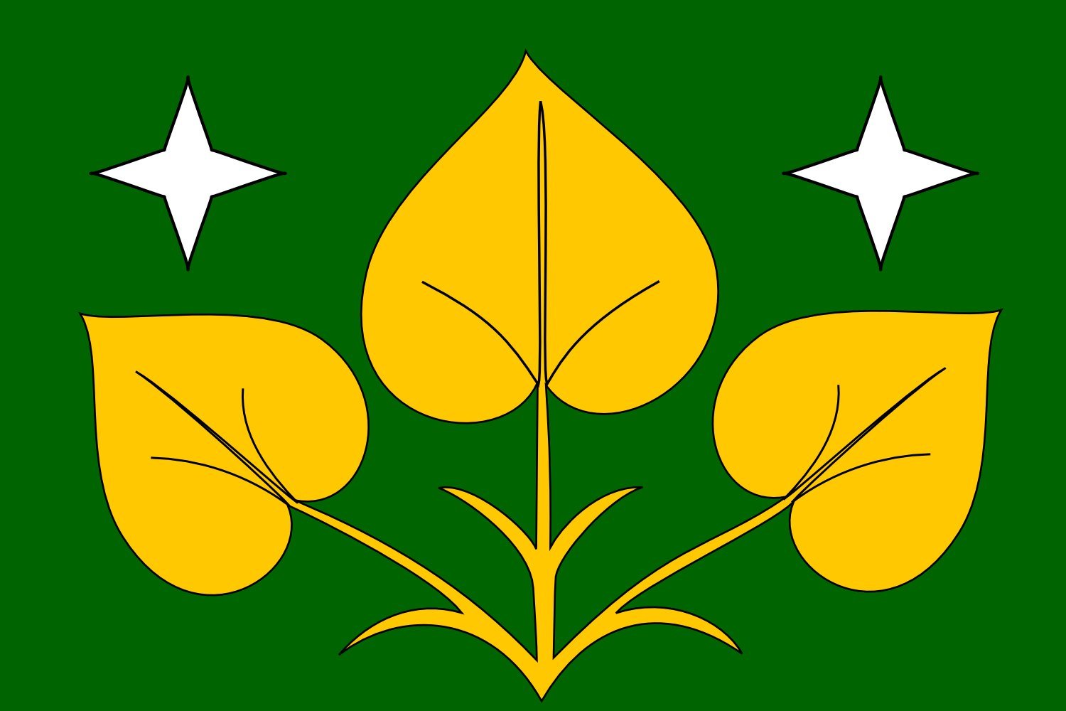 Drapeau Výprachtice de qualité supérieure pavillon officiel résistant