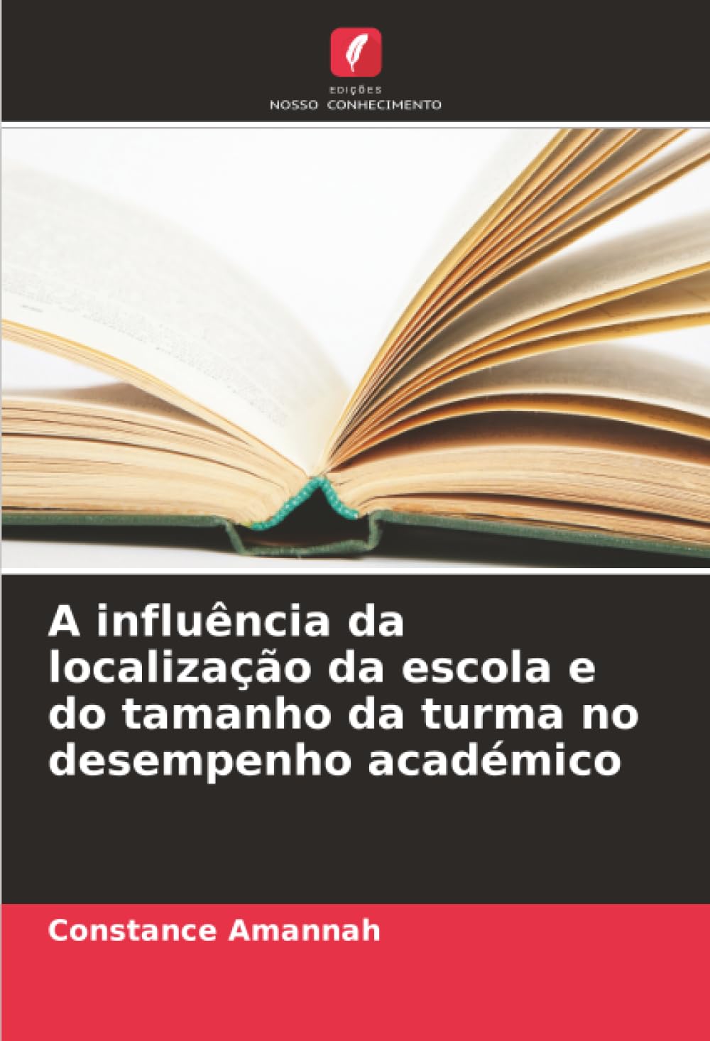 A influência da localização da escola e do tamanho da turma no desempenho académico