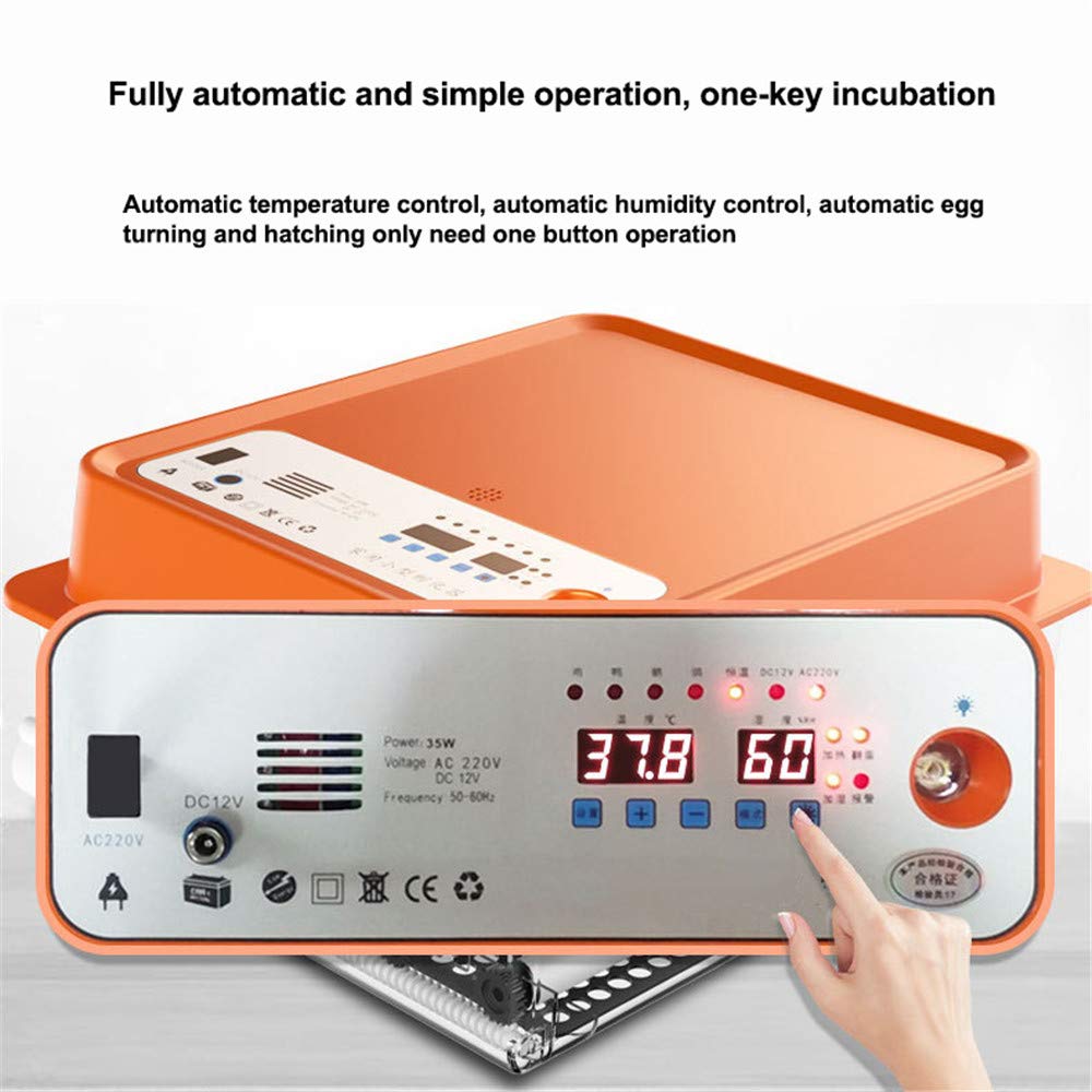 Mini incubatrice per Uova, schiusa Automatica Digitale con Controllo della Temperatura, Display a LED per Macchina per schiusa di pollame Completamente Automatica Digitale da 30-36 Uova