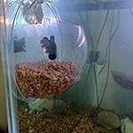 Review Image by Amazon Customer Amazon Customer