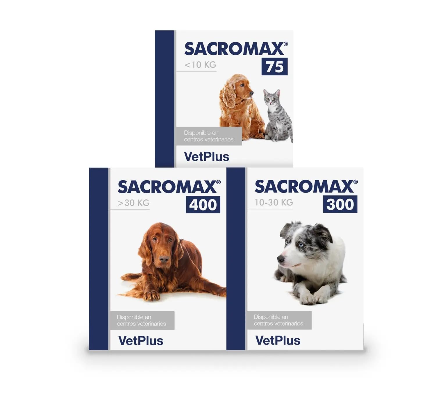 SACROMAX 300 30 Sobres X 4G