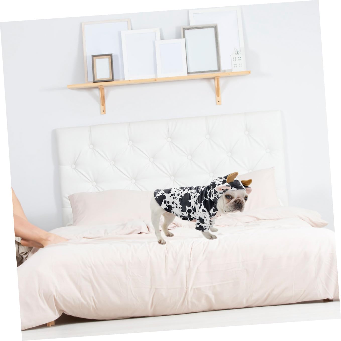 INOOMP 3pezzi Costume Per Animali Domestici Abbigliamento Decorativo Per Per Fotografie e Speciali Materiale Resistente Per e Inverno