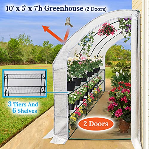 BenefitUSA New Large Walkin Wall Greenhouse 10x5x7'H w 3 Tiers/6