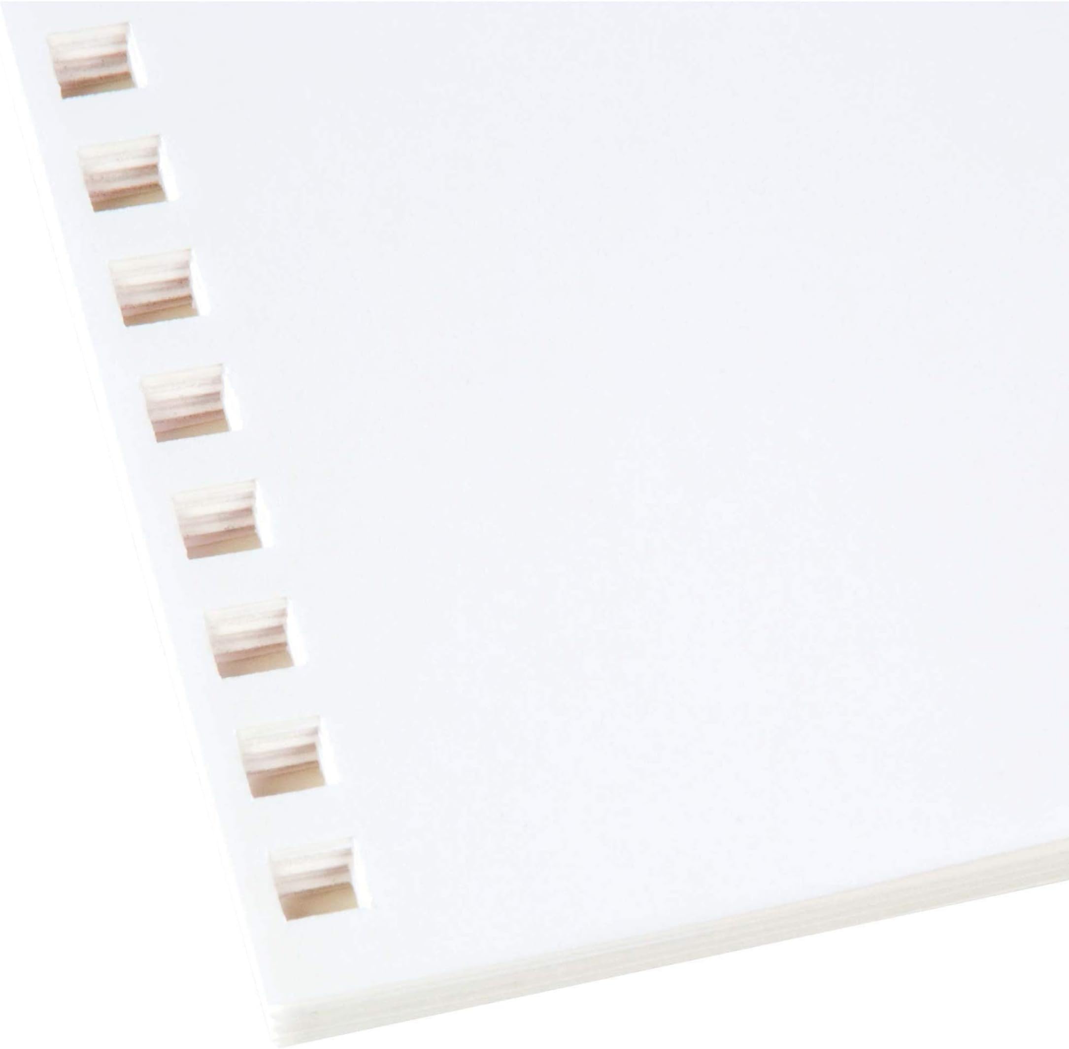 OxfordGBC ProClick Presentation Paper, Prepunched, 96 Bright, 24 lb,Letter Size (8.5 x 11), 250 sheets (2514479)