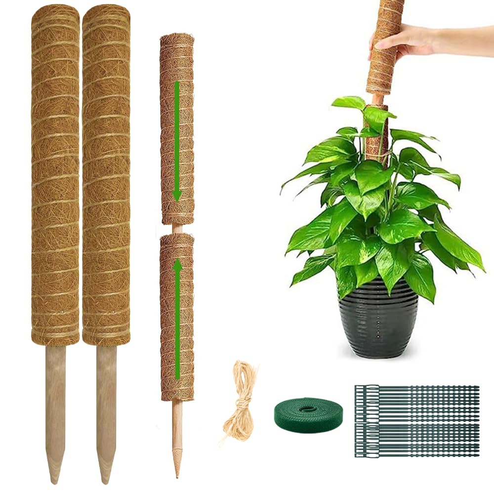 Amazon.com : Monstera Plant Support Moss Pole: 2 Pack 16 Inch