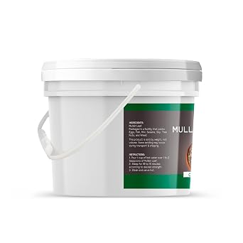 Birch & Meadow 1 Gallon of Mullein Leaf, Cut & Sifted, Herbal Tea