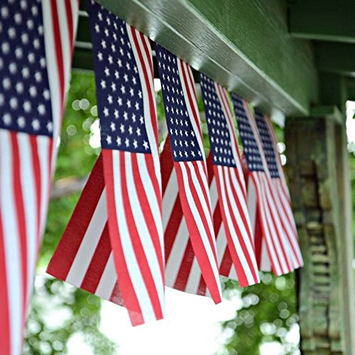 Image of Anley US National American String Pennant Flags, Patriotic Events 4th of July Independence Day Decoration Sports Bars - 33 Feet 38 Flags