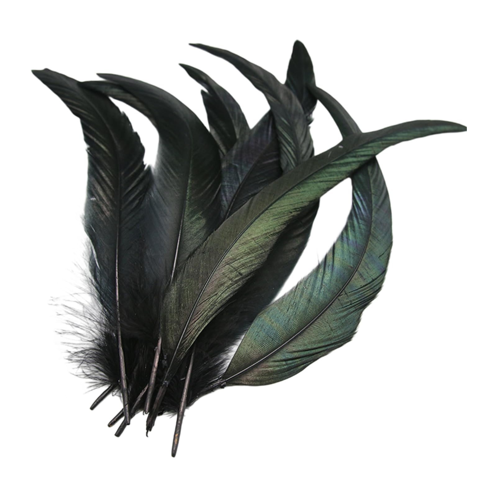NRVTRE 40Pcs Decorative Plumage 25 30Cm for Professional Costume Making and Art Quills for Crafting