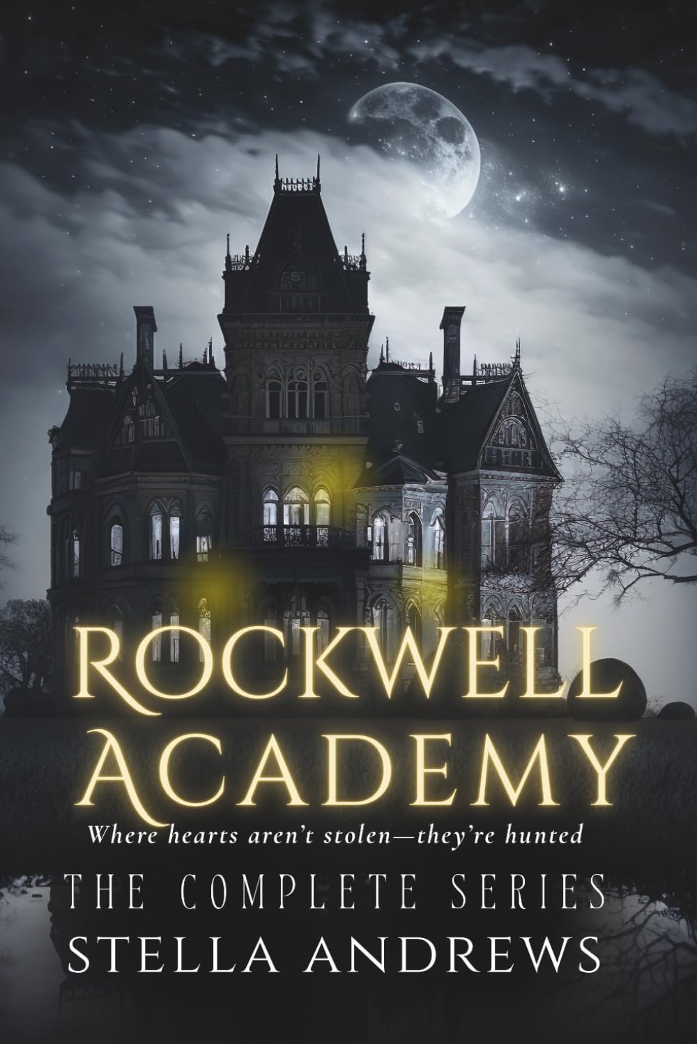 Rockwell Academy - The Complete Series