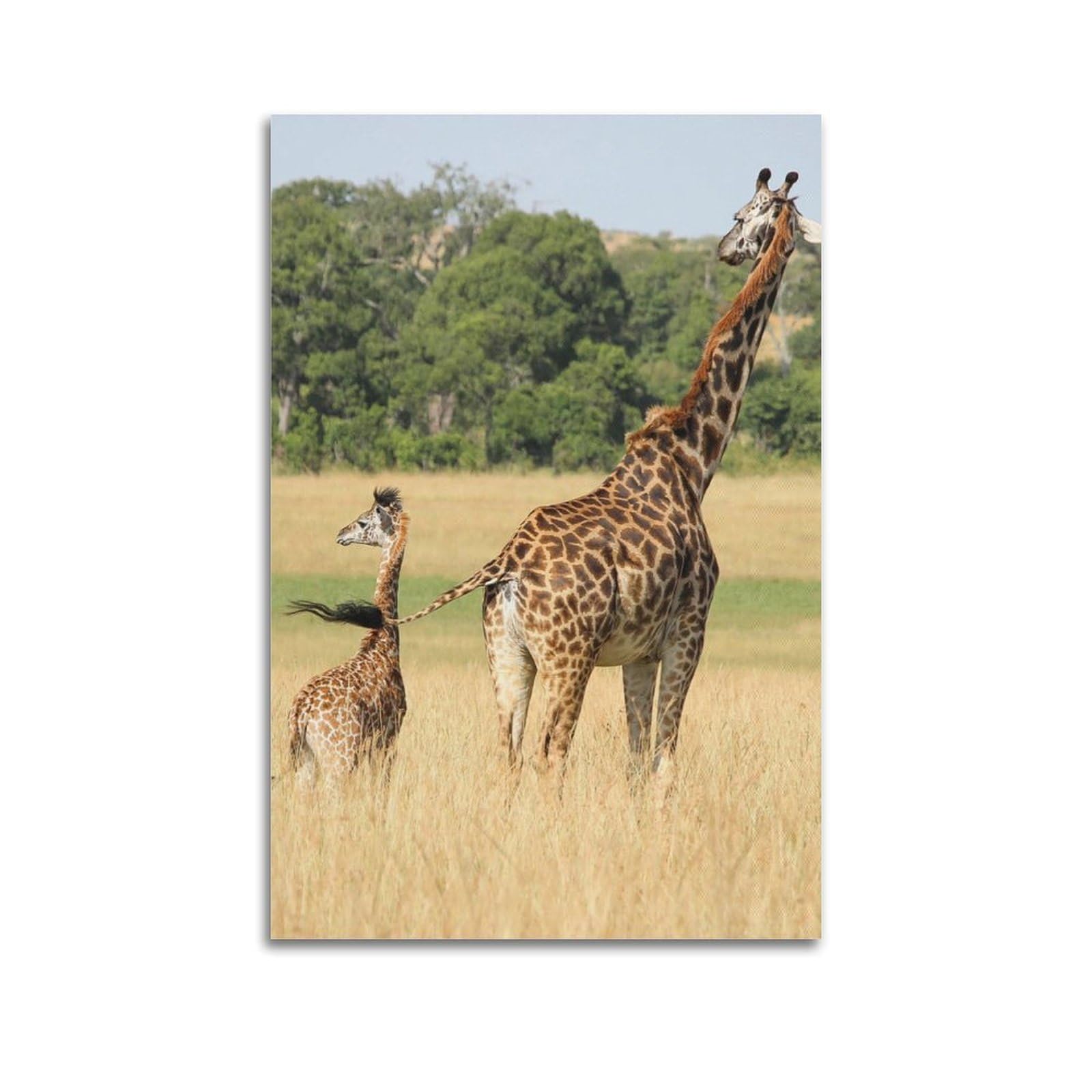 WZKTCL Animal Artwork Poster Giraffe in The Meadow Poster Decorative Painting Canvas Wall Posters And Art Picture Print Modern Family Bedroom Decor Posters 20x30inch(50x75cm)
