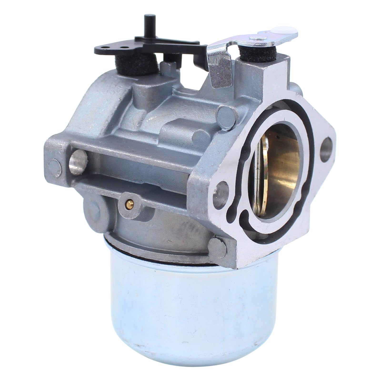 Vergaser Satz mit Luftfilter Zündkerze Dichtung Kraftstoffleitung Kraftstofffilter für Briggs & Stratton 283702 284702 286707 289702 28D702 28D707 28M706 Rasenmäher
