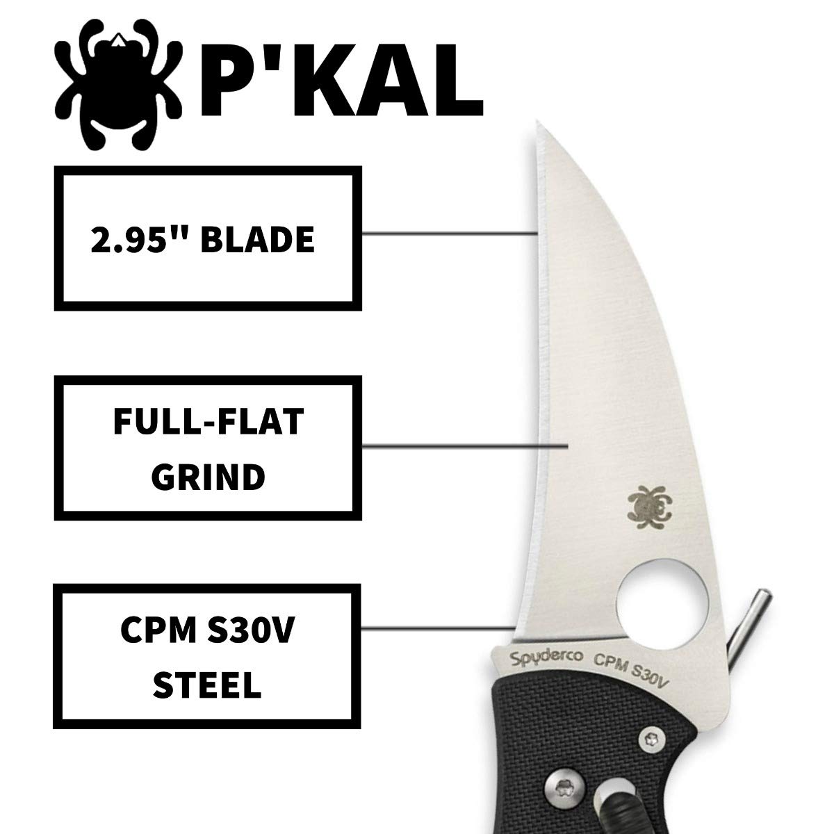 Amazon.com: Spyderco P