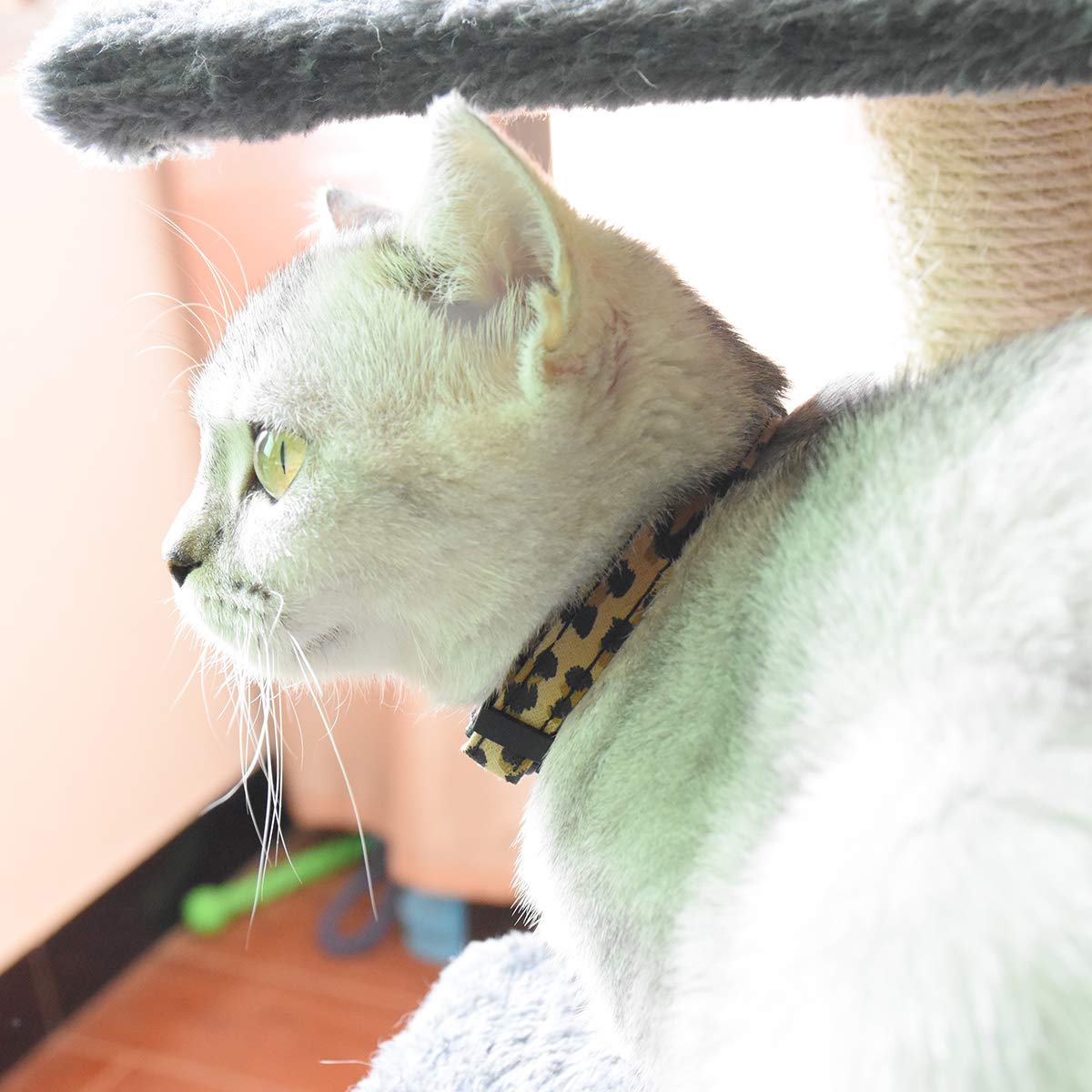 Breakaway Katzenhalsbänder mit Glöckchen, 3 Stück, langlebig und sicher, niedliches Kätzchenhalsband, Sicherheit, verstellbar, Kätzchenhalsband für Katzen, Welpen, 19,1–27,9 cm (Leopardenmuster)