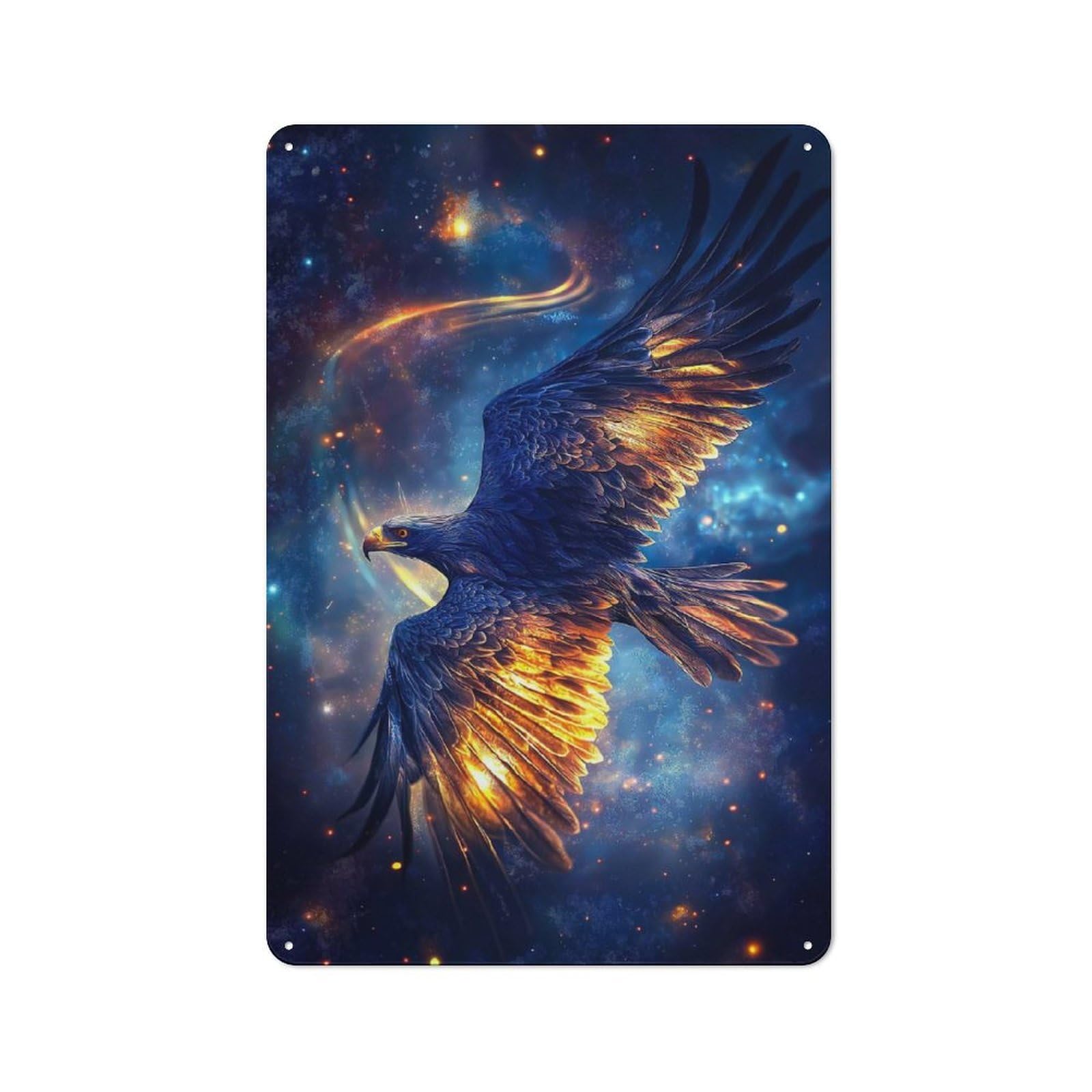 Everyday Vintage Metal Sign 30x20cm Featuring Fiery Eagle in Space, Room Wall Plaque for Home, Shop, Pub Or Studio Wall