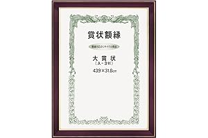 Large Award Plaque Neo Radiant A3