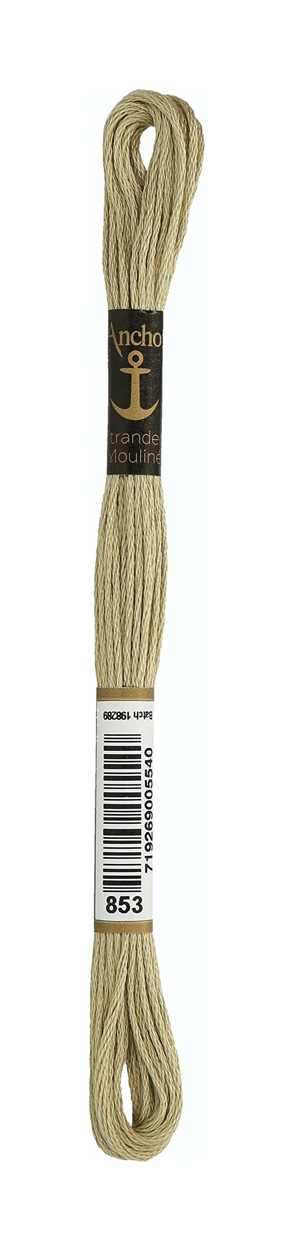 Anchor Six Strand Embroidery Floss 8.75 Yards-Turf Light 12 per Box — image 1
