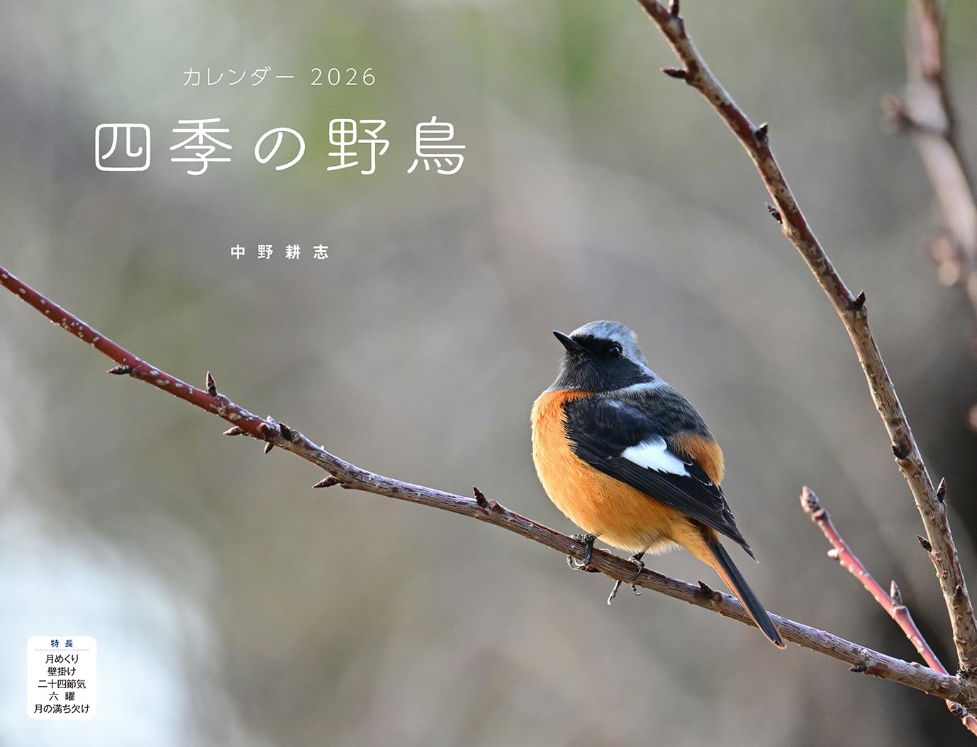 四季の野鳥（月めくり/壁掛け）（イカロスカレンダー2026） ([カレンダー])