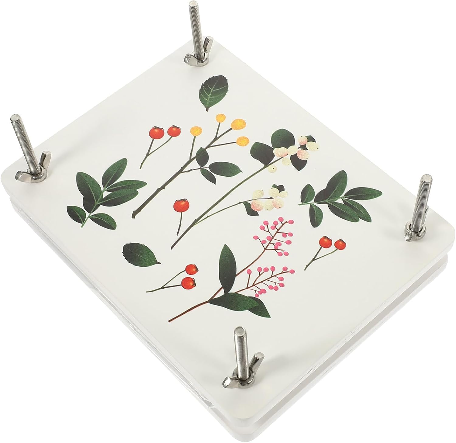 HOOTNEE Flower Press Kit Wooden Plant Specimen Pressing Tool Small Size DIY Flower Preservation Kit for Craft Enthusiasts and Botanical Art Projects