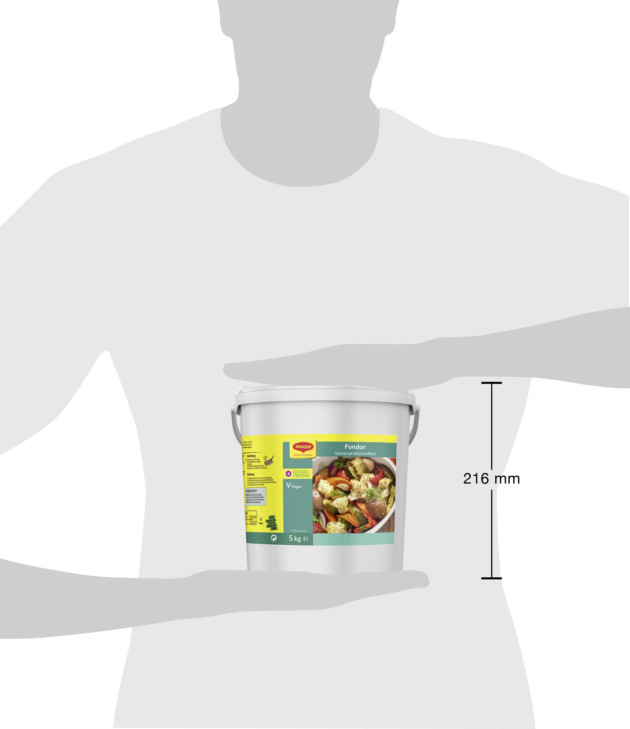 MAGGI Professional Fondor Universal-Würzmittel, keine kennzeichnungspflichtige Allergene, vegan, 1er Pack, (1 x 5kg Eimer)