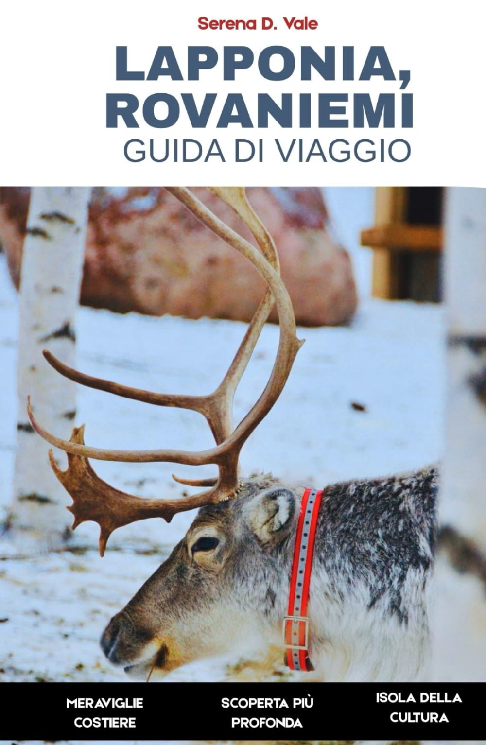 Lapponia, Guida di viaggio di Rovaniemi 2026: Una guida completa al Circolo Polare Artico finlandese, al paese delle meraviglie invernali e all’Aurora Boreale nella patria di Babbo Natale