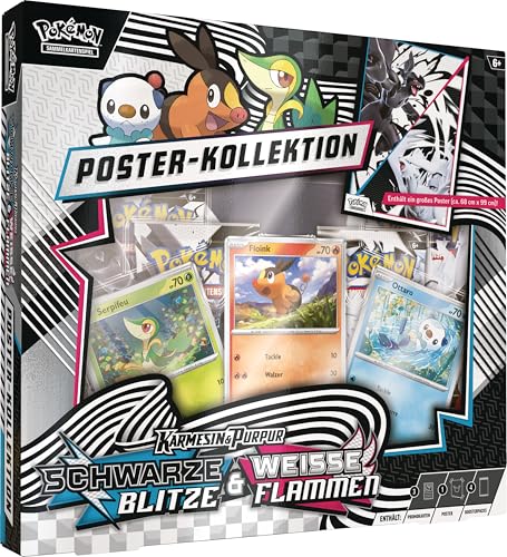 Pokémon-Sammelkartenspiel: Poster-Kollektion Einall (3 holografische Promokarten & 4 Boosterpacks)