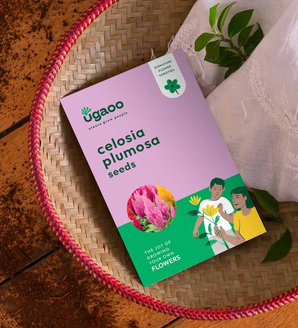 UGAOO Celosia Plumosa Flower Seeds (Multicolour, Pack of 200)