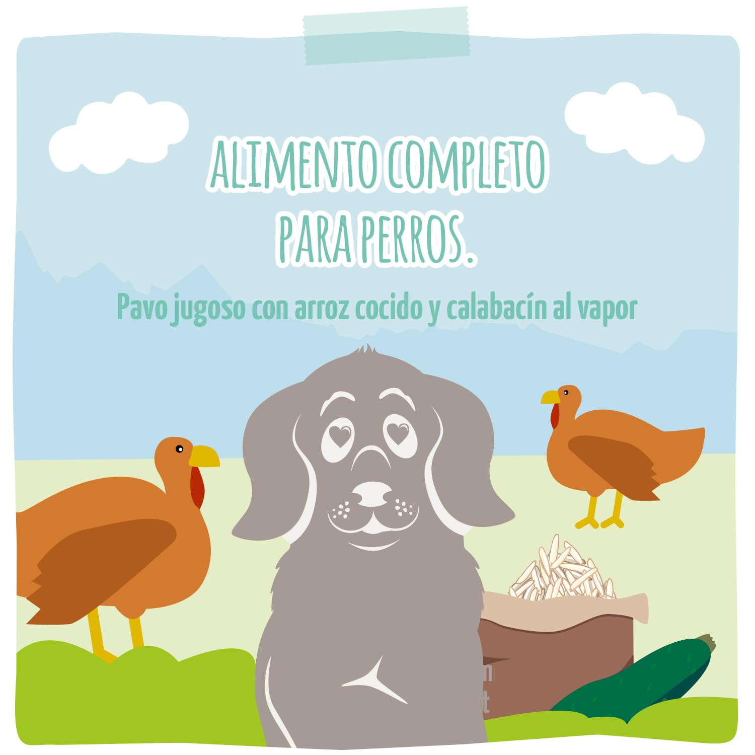 MjAMjAM - Comida húmeda Premium para Perros - Quetschie - Pava Rica con riso cocido y calabacín al Vapor, Pack de 12 (12 x 125g), sin Gluten con Extra de Carne
